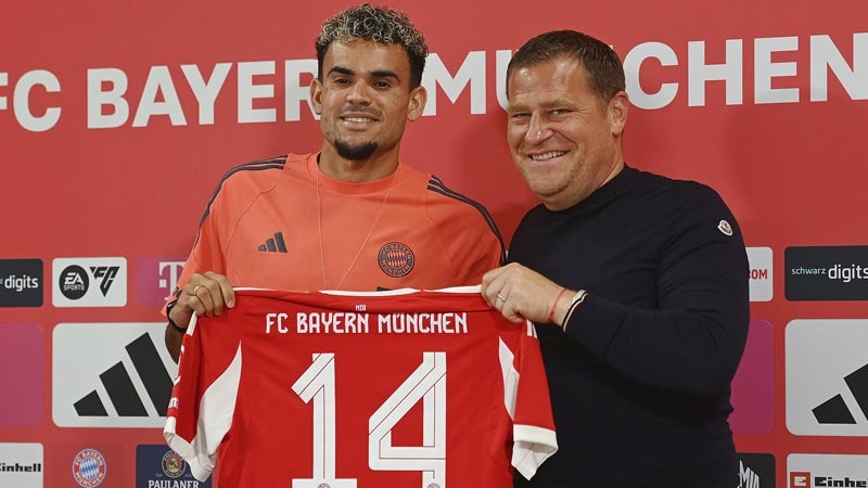 掩护与投射 掩护与投射